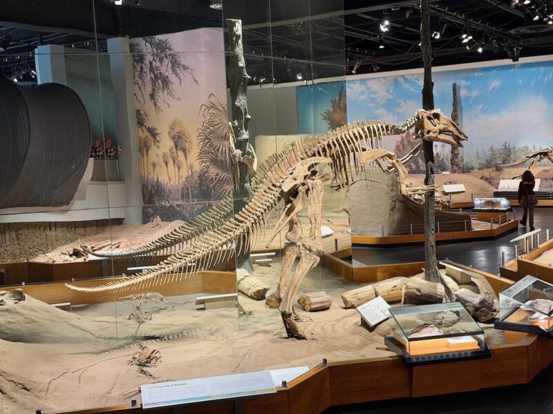 PlanetSKI Heads to Dinosaur Country